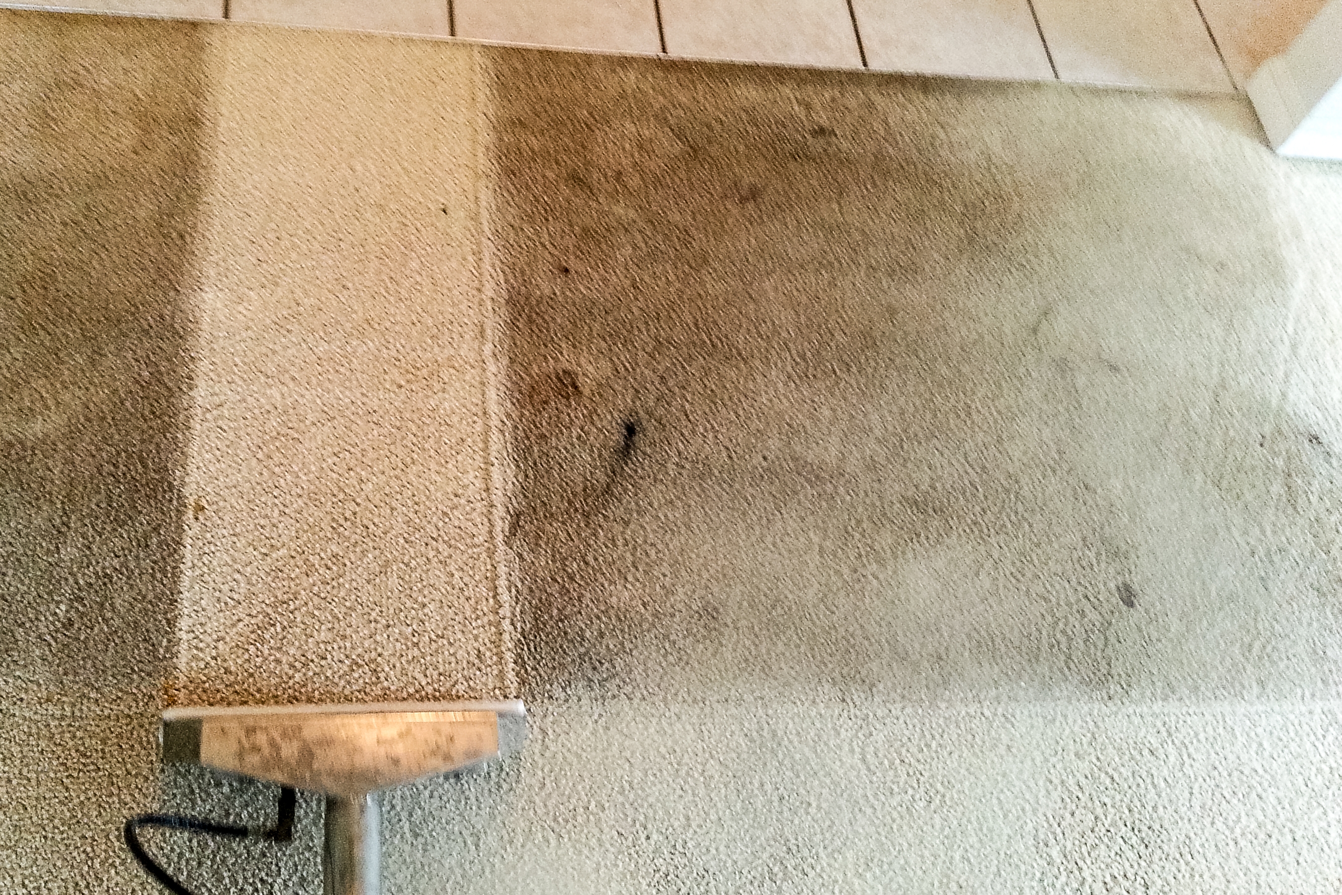 best carpet cleaning experts services san antonio and the surrounding areas