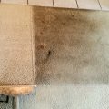 Only Use The Best Carpet Cleaning in San Antonio With 60 Years Of Experience, Call Best Carpet Cleaning Experts Today 210-857-0682