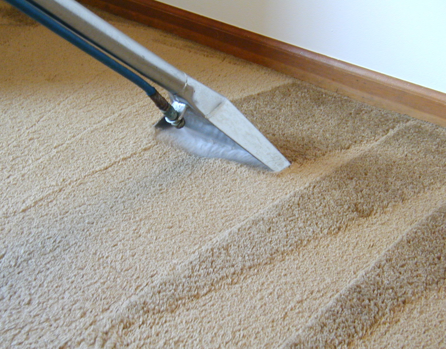 green carpet cleaning san antonio