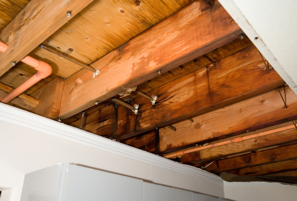 water damage restoration in san antonio