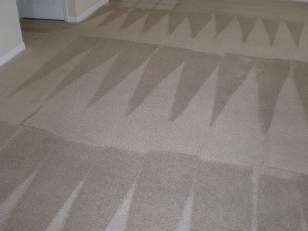 Call The San Antonio Carpet Cleaning Pros Best Carpet Cleaning Experts