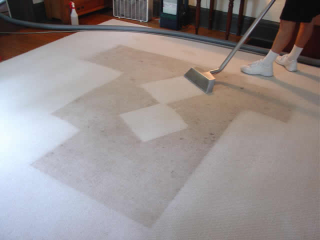 san antonio carpet cleaners